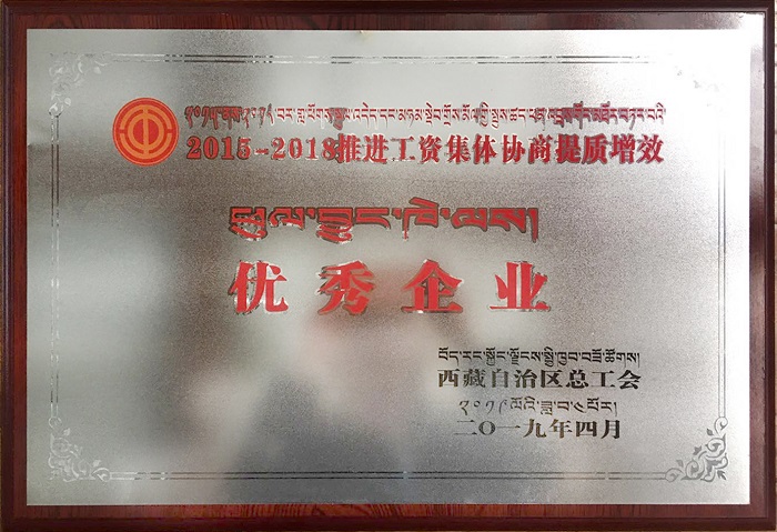 西藏阜康醫院 西藏阜康醫院